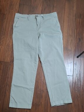 Lucky Brand Light Sage Green Pants size 12/31